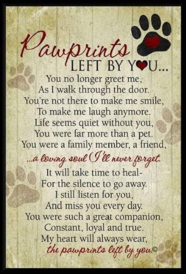 Pawprints Left By You Pet Memorial Wall Plaque