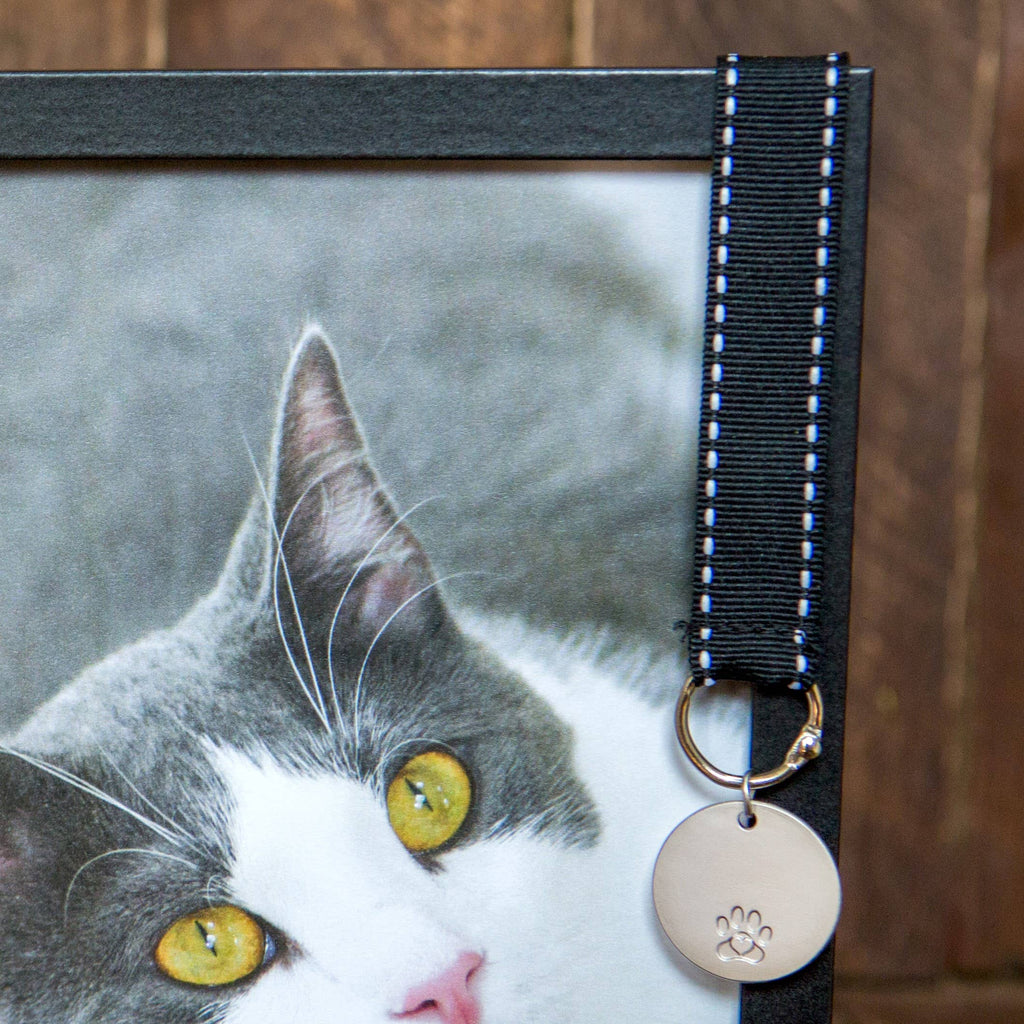 Pawprints Left By You Cat Loss Memorial Frame w/Tag