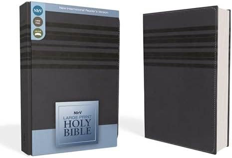 NIrV, Holy Bible, Large Print, Leathersoft, Blue