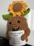Emotional Support Plant Sunflower