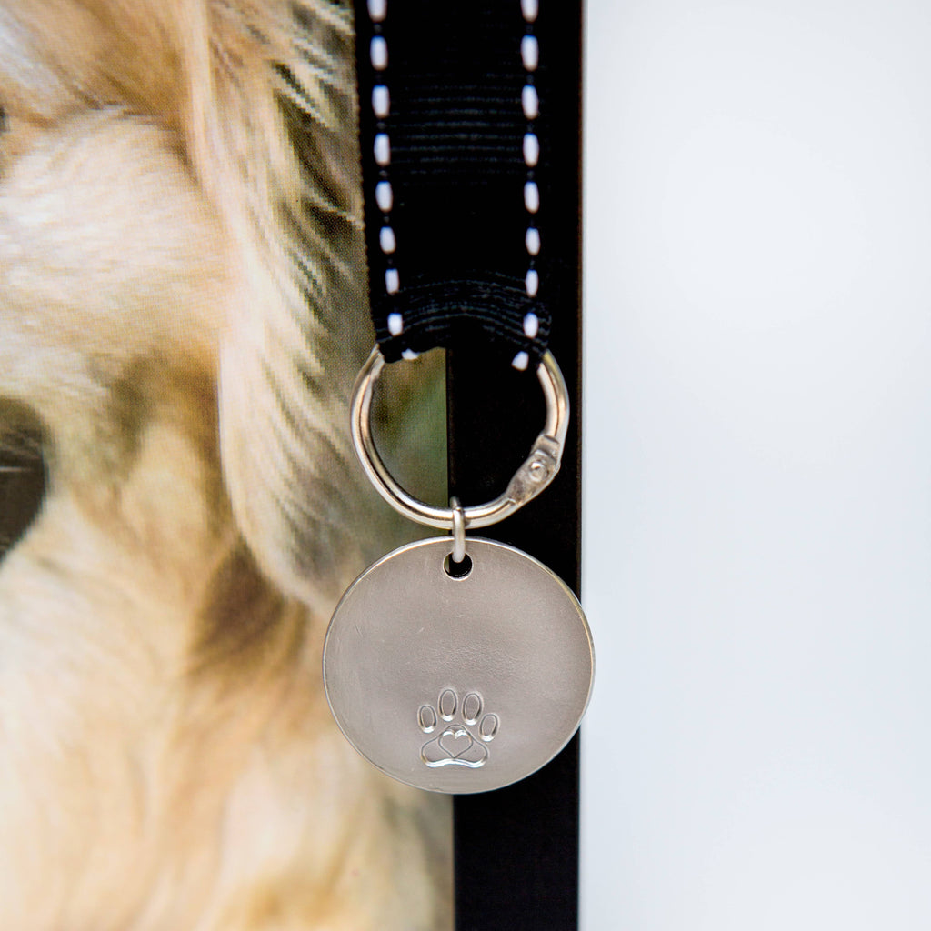 Pawprints Left By You Pet Memorial Frame for  Dog
