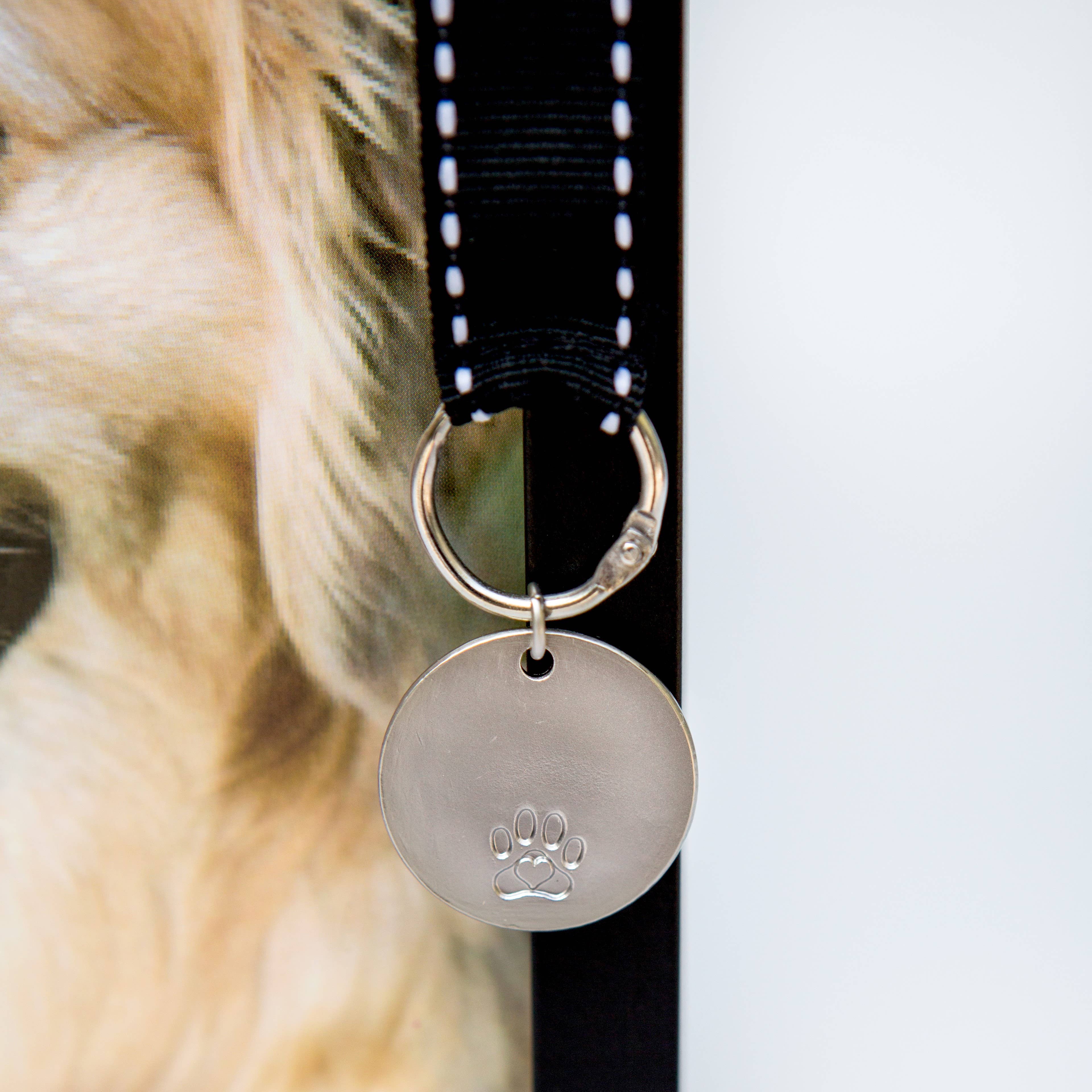 Pawprints Left By You Pet Memorial Frame for  Dog